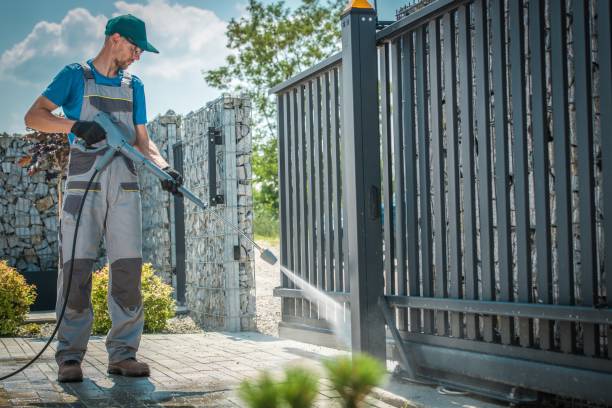 Best Solar Panel Cleaning  in Dolgeville, NY