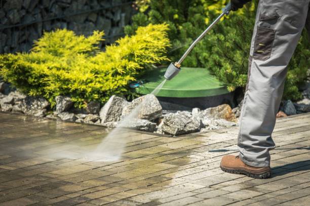 Best Playground Equipment Cleaning  in Dolgeville, NY